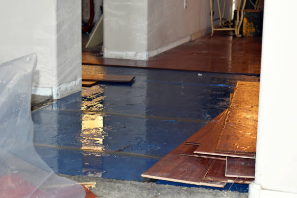 Professional Flood Damage Repair technician working in New Athens, IL